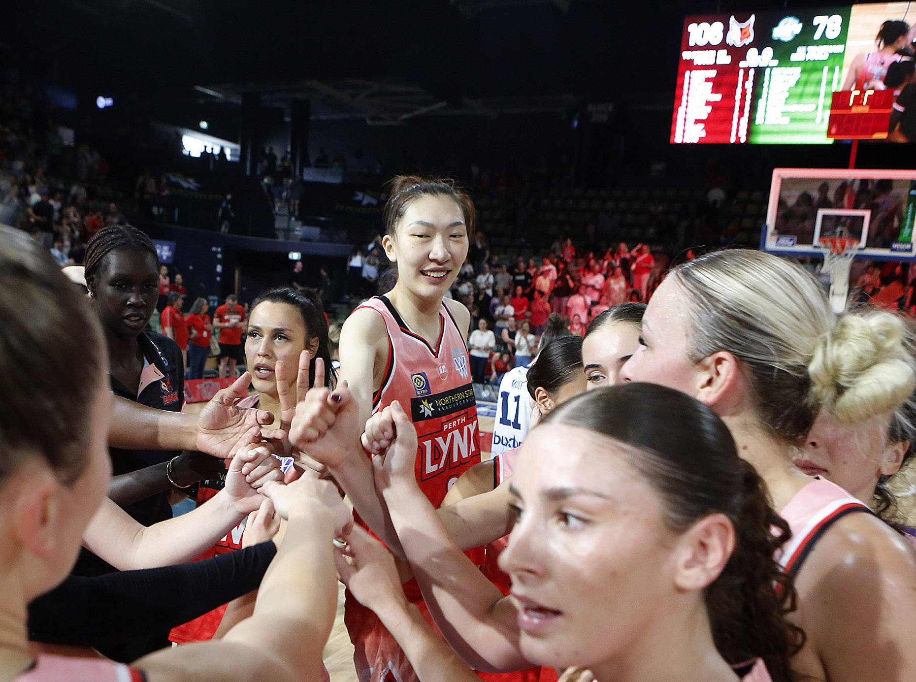 （体育）篮球——澳大利亚女篮联赛：珀斯山猫队胜吉朗毒液队